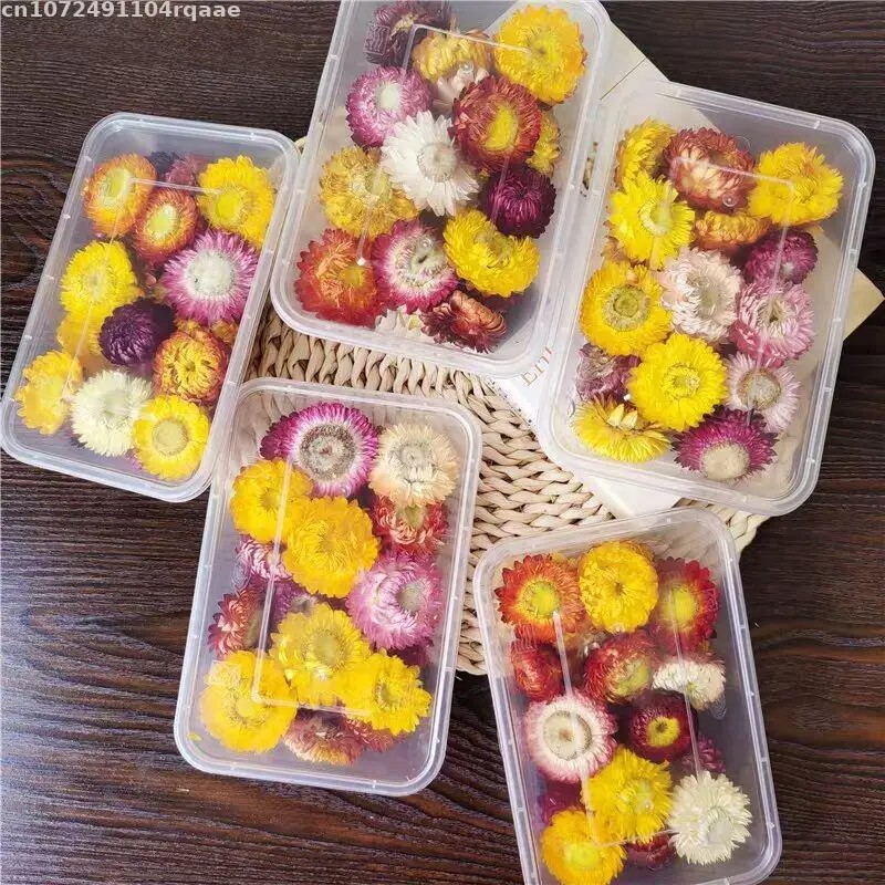 Fleurs séchées 100% naturelles - Candle Making Material Wholesale avis et prix