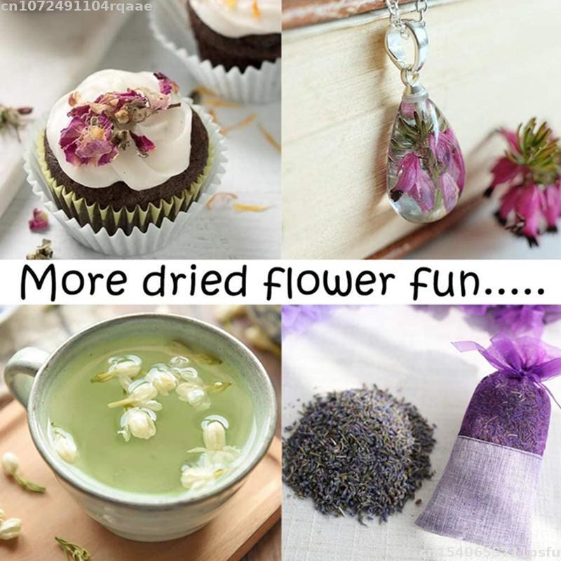 Fleurs séchées 100% naturelles - Candle Making Material Wholesale avis et prix