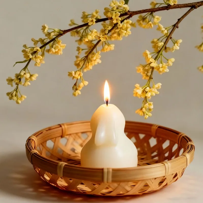 Nouveau 2026 Moule en silicone - Candle Making Gel Wax avis et prix